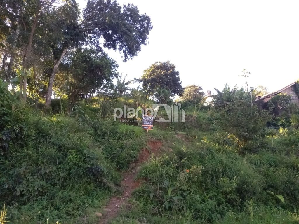 Venda de terreno / padrão na cidade de gravataí