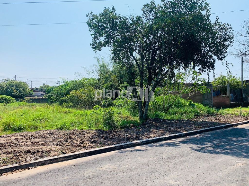 Venda de terreno / padrão na cidade de gravataí