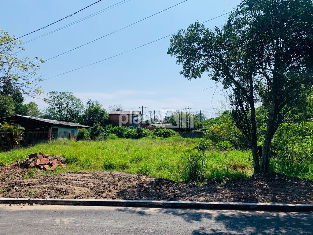 Venda de terreno / padrão na cidade de gravataí
