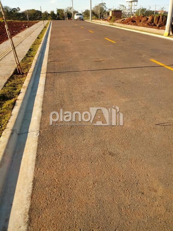 Venda de Terreno / Padrão na cidade de Gravataí - foto 5