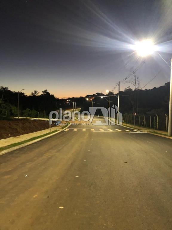 Venda de Terreno / Padrão na cidade de Gravataí - foto 8