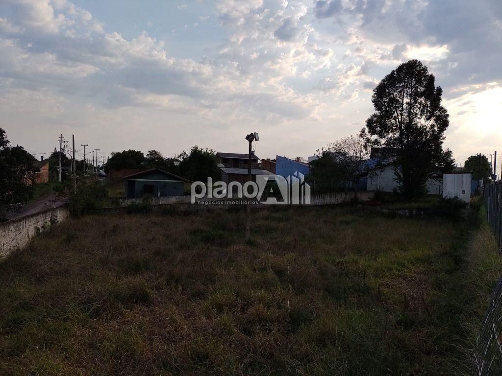 Venda de Terreno / Padrão na cidade de Gravataí