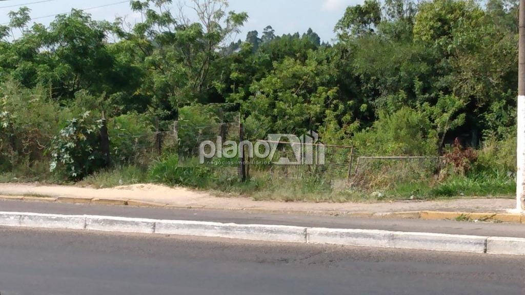 Venda de Terreno / Padrão na cidade de Gravataí