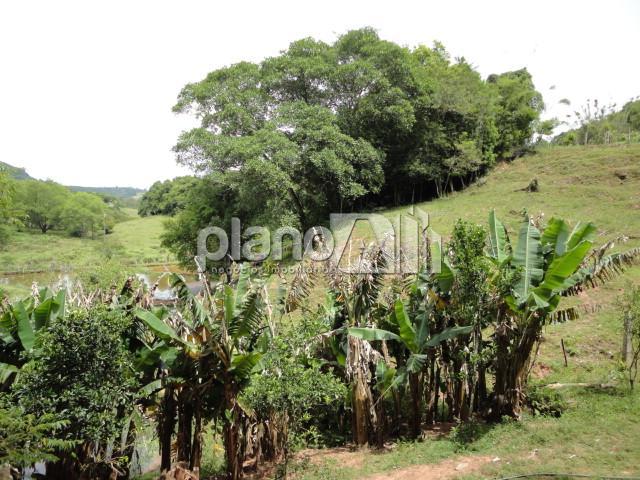 Venda de Rural / Chácara na cidade de Gravataí - foto 13