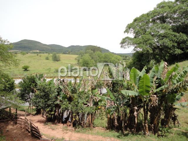 Venda de Rural / Chácara na cidade de Gravataí - foto 14