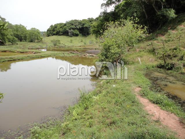 Venda de Rural / Chácara na cidade de Gravataí - foto 21