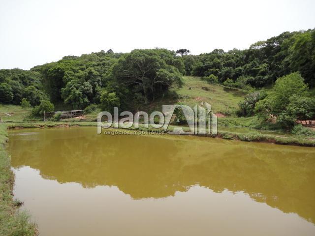 Venda de Rural / Chácara na cidade de Gravataí - foto 23