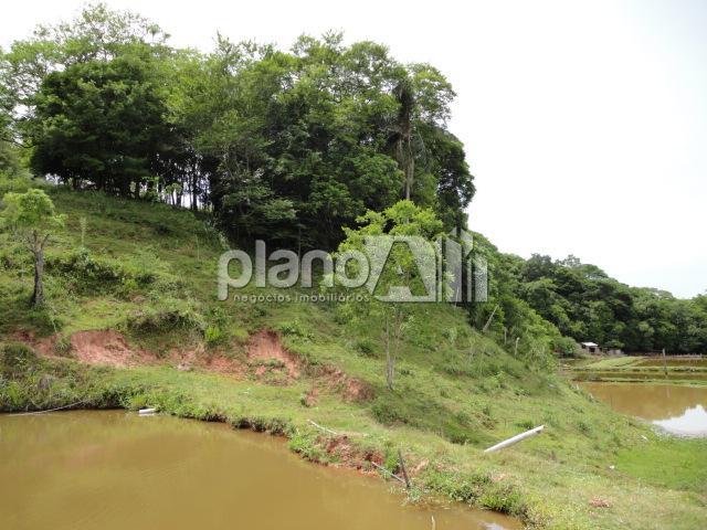 Venda de Rural / Chácara na cidade de Gravataí - foto 26