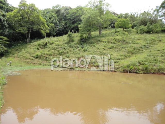 Venda de Rural / Chácara na cidade de Gravataí - foto 31