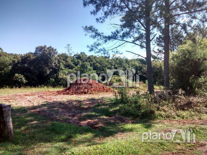 Venda de Terreno / Padrão na cidade de Gravataí