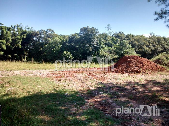 Venda de Terreno / Padrão na cidade de Gravataí