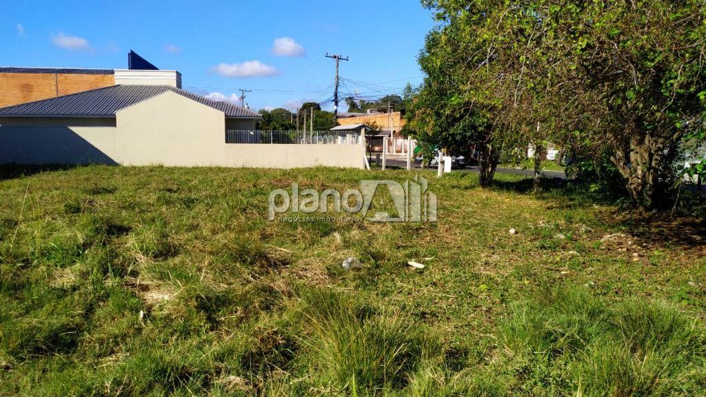 Locação de Terreno / Padrão na cidade de Gravataí