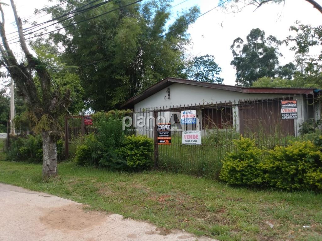 Venda de Terreno / Padrão na cidade de Gravataí