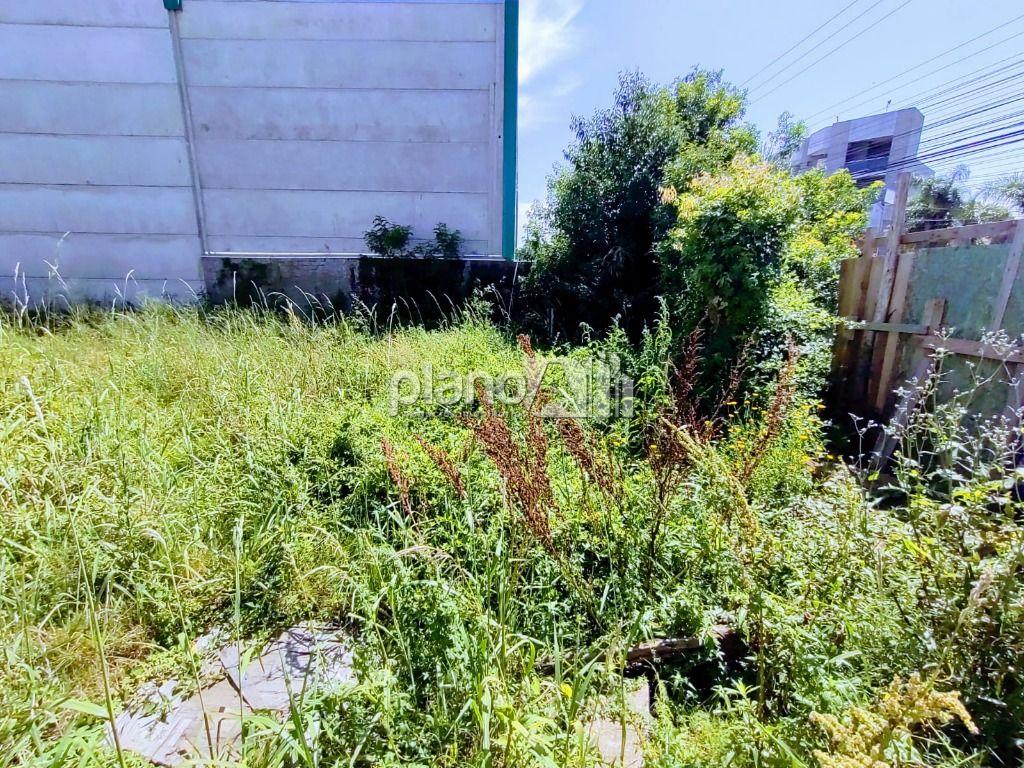 Venda de Terreno / Padrão na cidade de Gravataí