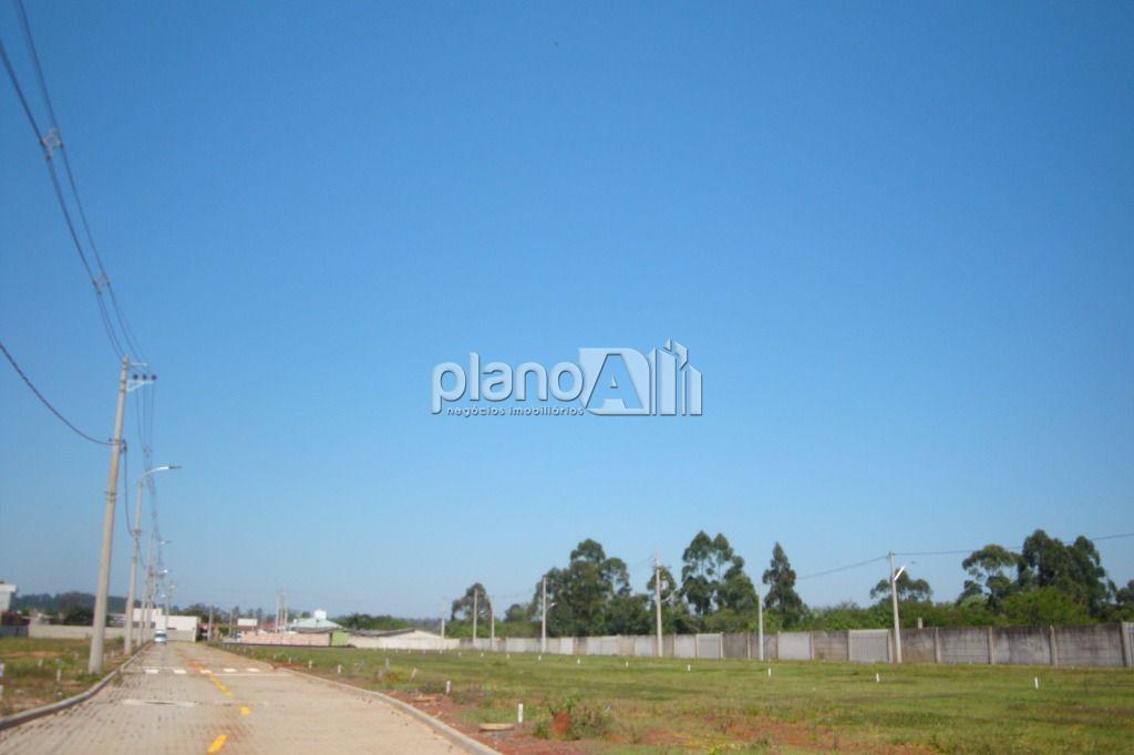 Venda de Terreno / Padrão na cidade de Gravataí