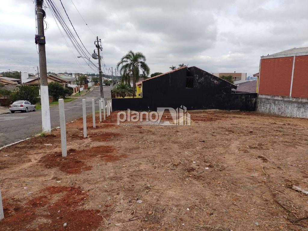 Venda de terreno / padrão na cidade de gravataí - foto 2