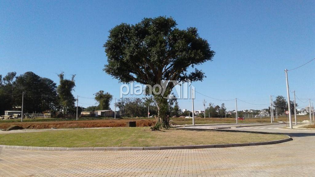 Venda de terreno / padrão na cidade de gravataí - foto 1