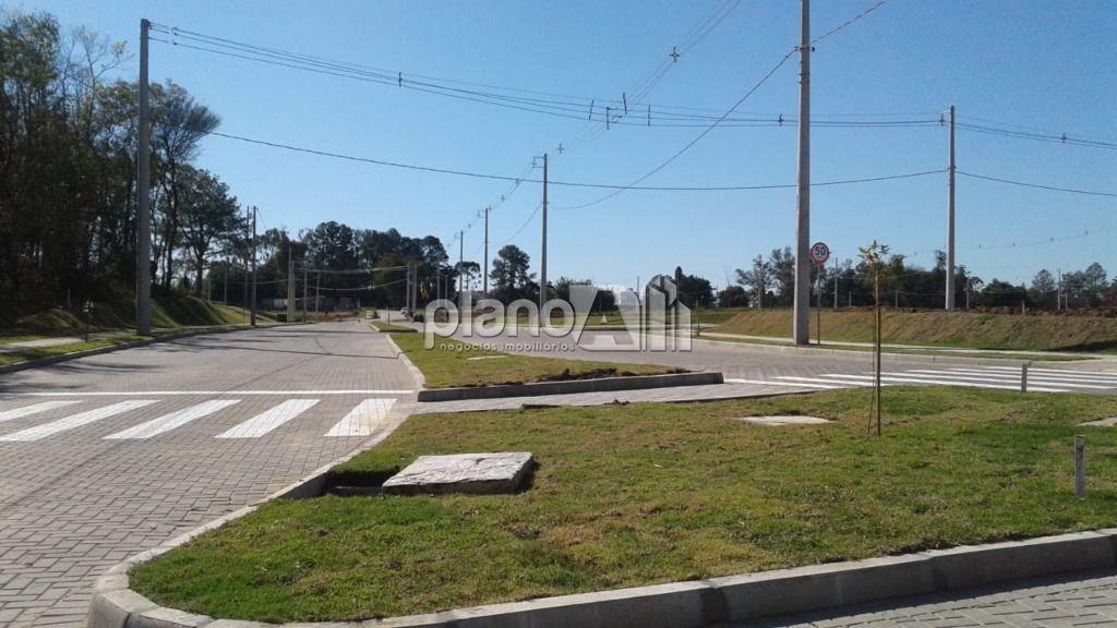 Venda de terreno / padrão na cidade de gravataí - foto 3
