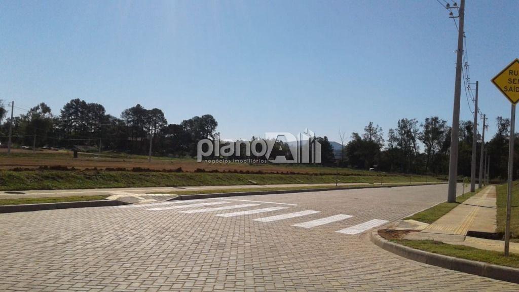 Venda de terreno / padrão na cidade de gravataí - foto 7