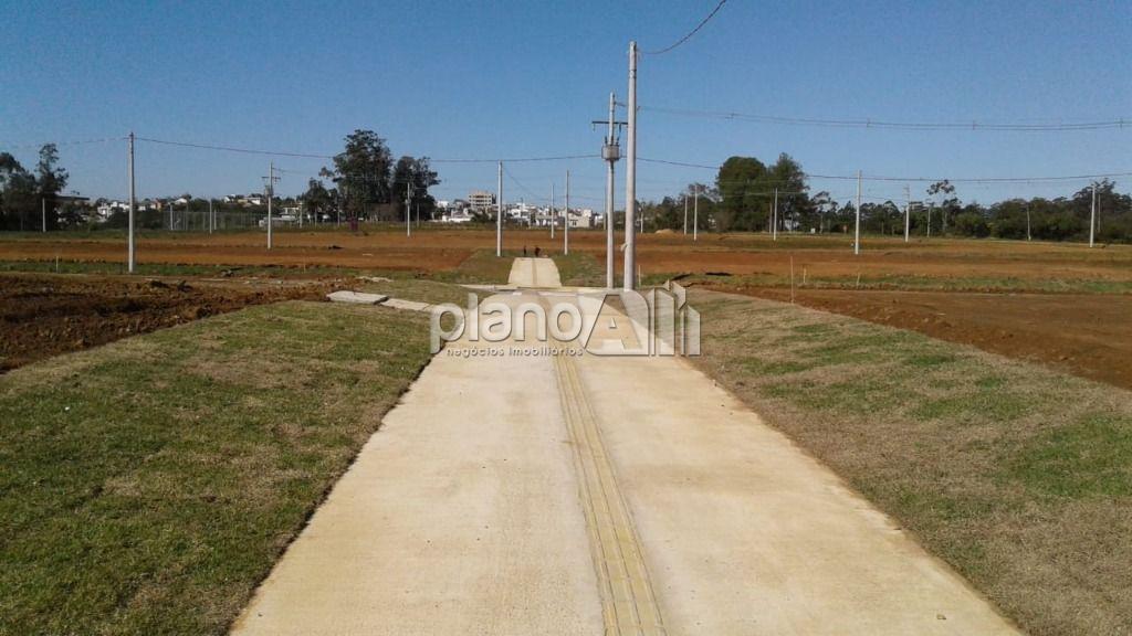 Venda de terreno / padrão na cidade de gravataí - foto 11