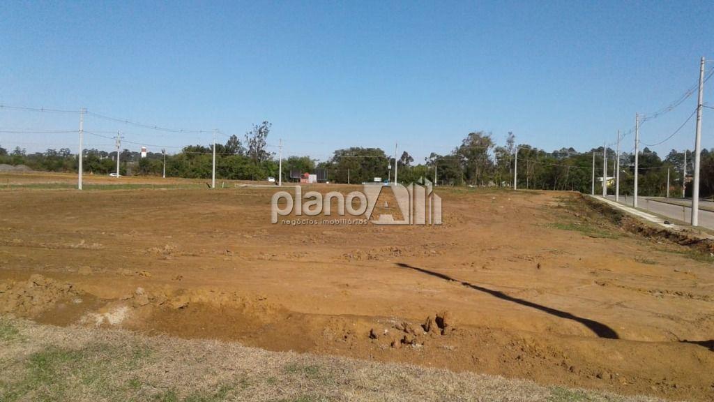 Venda de terreno / padrão na cidade de gravataí - foto 12