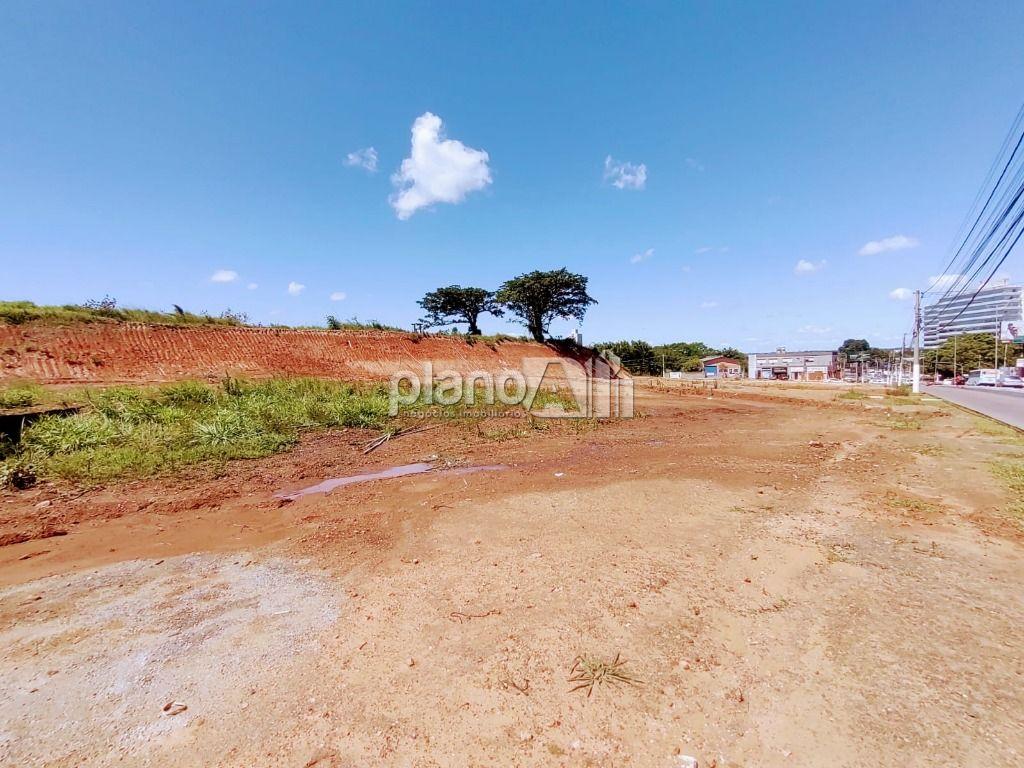 Locação de Terreno / Padrão na cidade de Gravataí