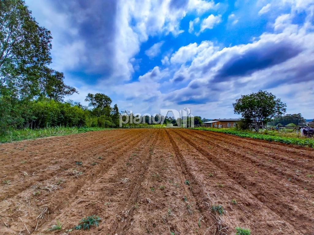 Venda de terreno / área na cidade de gravataí