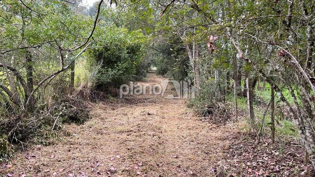 Venda de terreno / área na cidade de gravataí