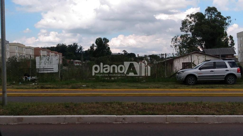 Locação de Terreno / Padrão na cidade de Gravataí