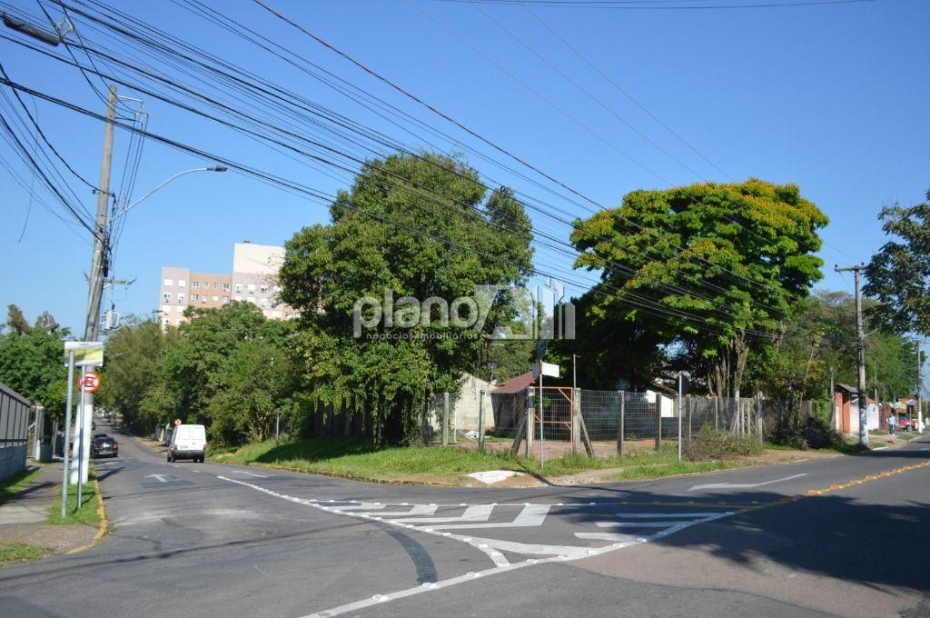 Venda de Terreno / Padrão na cidade de Gravataí