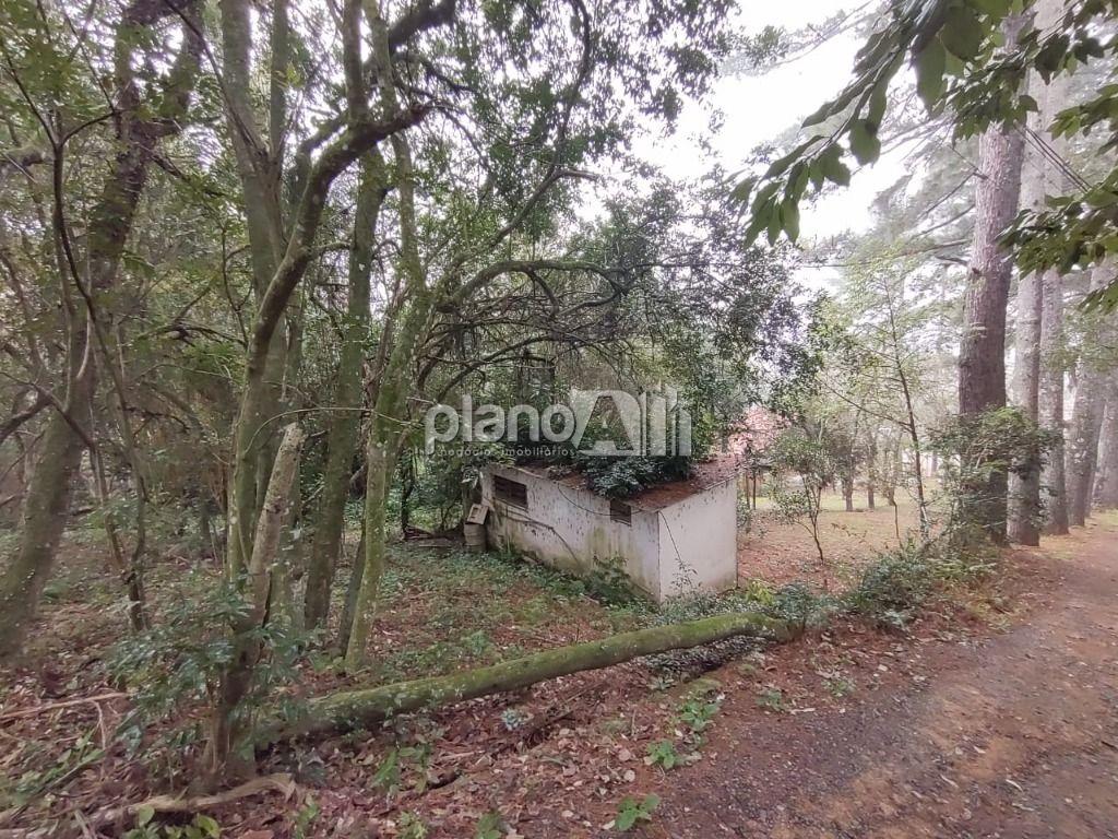 Venda de Rural / Chácara na cidade de Gravataí - foto 17