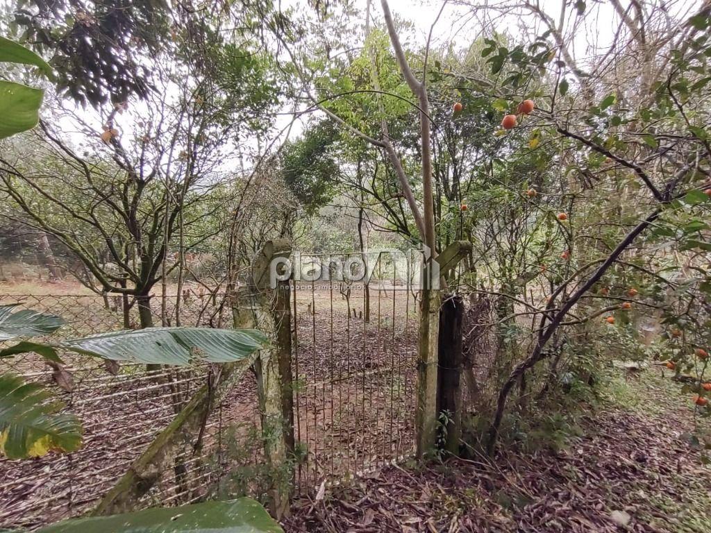 Venda de Rural / Chácara na cidade de Gravataí - foto 19