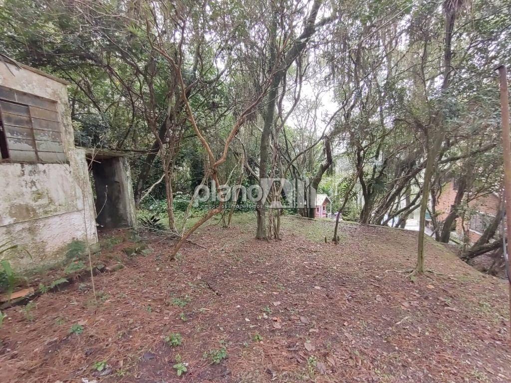 Venda de Rural / Chácara na cidade de Gravataí - foto 21