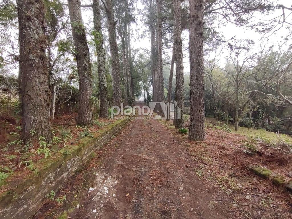 Venda de Rural / Chácara na cidade de Gravataí - foto 22