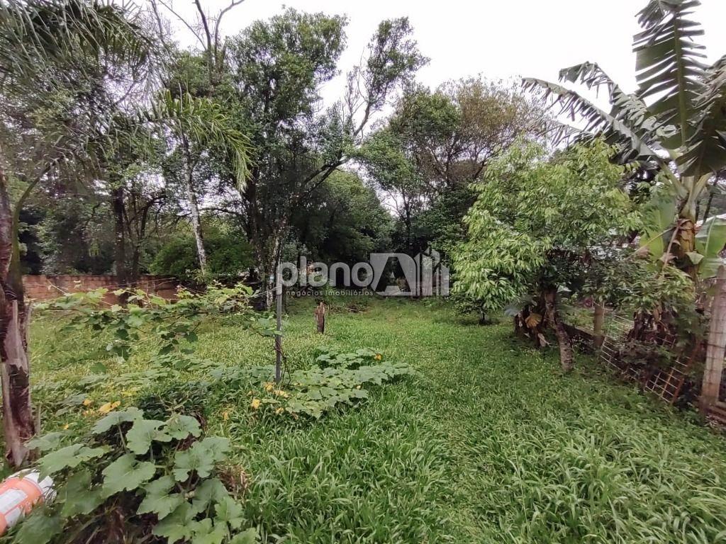 Venda de Terreno / Padrão na cidade de Gravataí