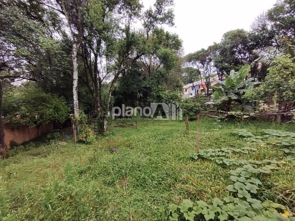 Venda de Terreno / Padrão na cidade de Gravataí