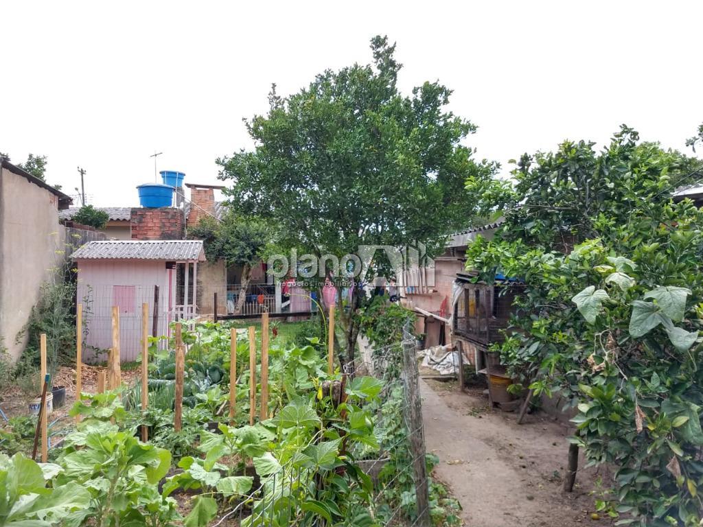 Venda de Casas / Padrão na cidade de Gravataí