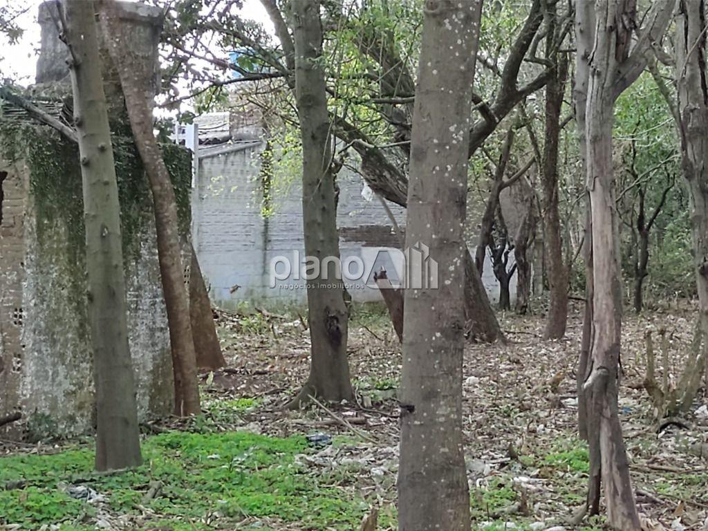 Venda de Terreno / Padrão na cidade de Gravataí