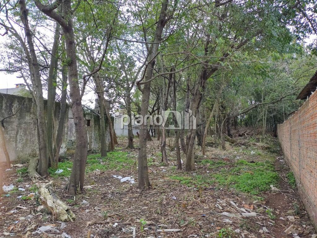 Venda de Terreno / Padrão na cidade de Gravataí
