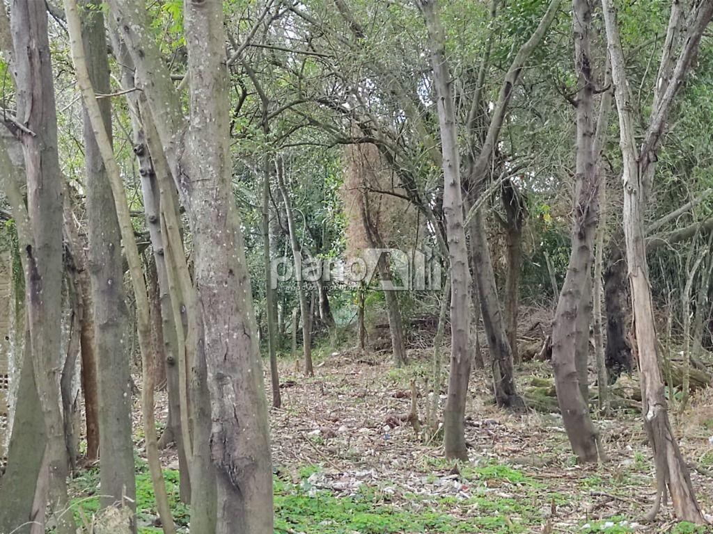 Venda de Terreno / Padrão na cidade de Gravataí