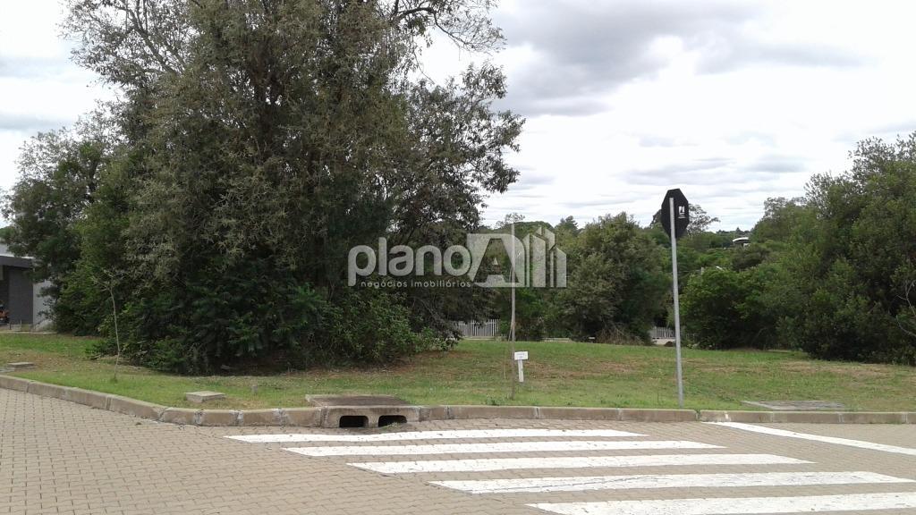 Venda de terreno / padrão na cidade de gravataí