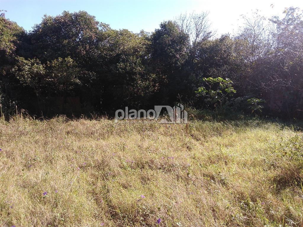 Venda de Terreno / Padrão na cidade de Gravataí