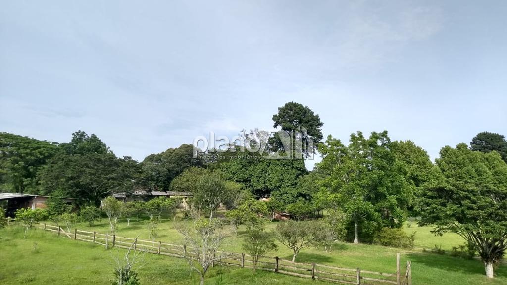 Venda de rural / chácara na cidade de gravataí