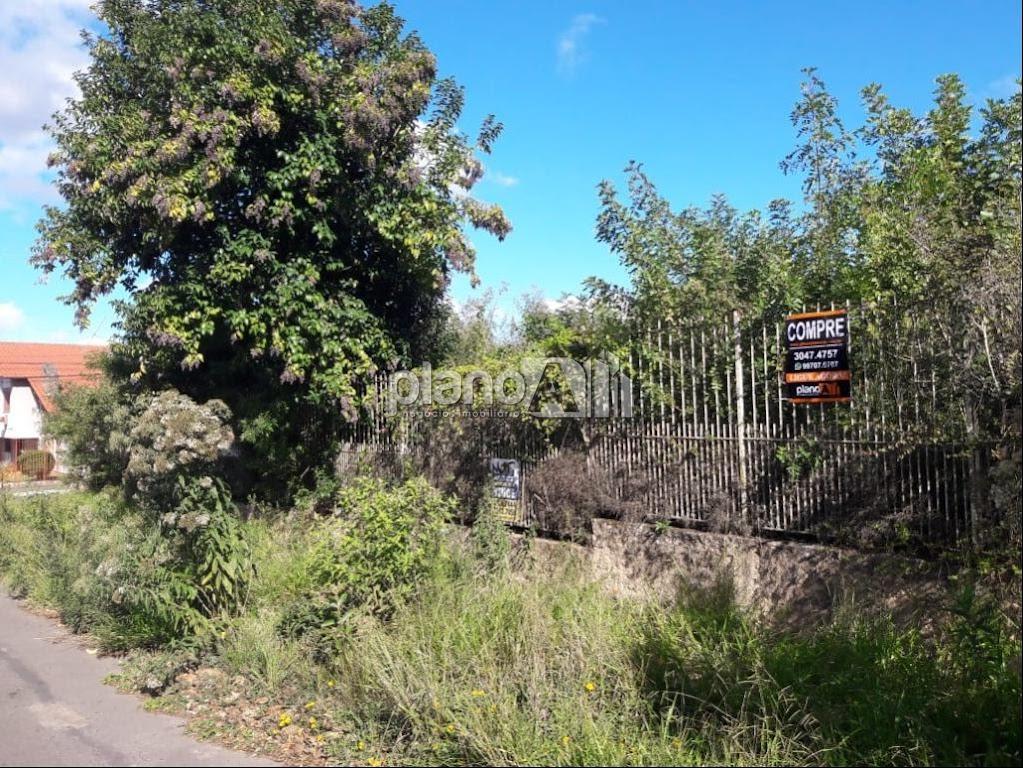 Venda de Terreno / Padrão na cidade de Gravataí