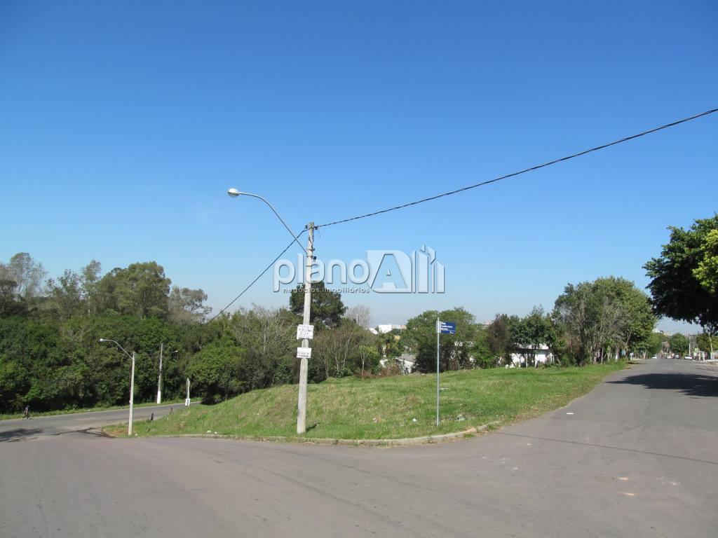 Venda de Terreno / Padrão na cidade de Gravataí