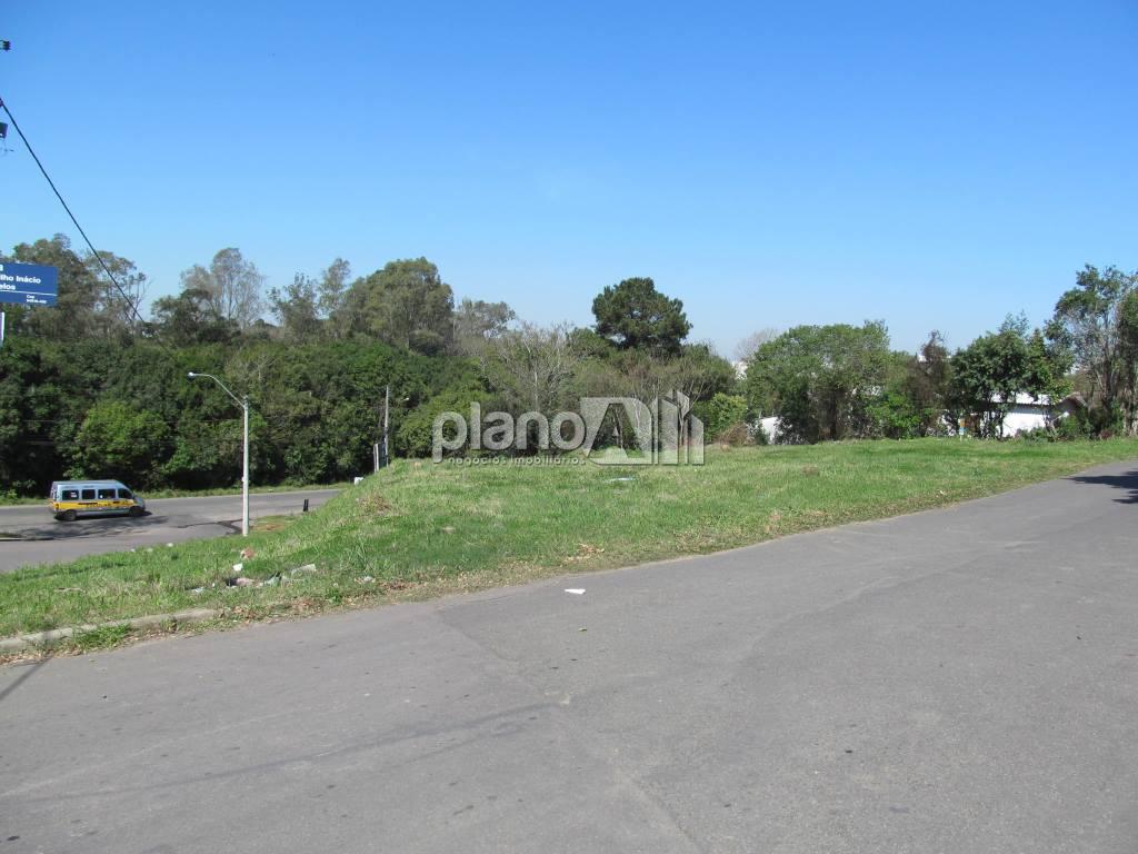 Venda de Terreno / Padrão na cidade de Gravataí