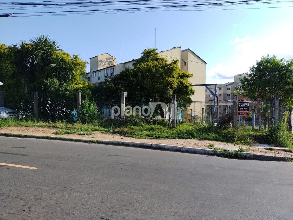 Venda de casas / padrão na cidade de gravataí