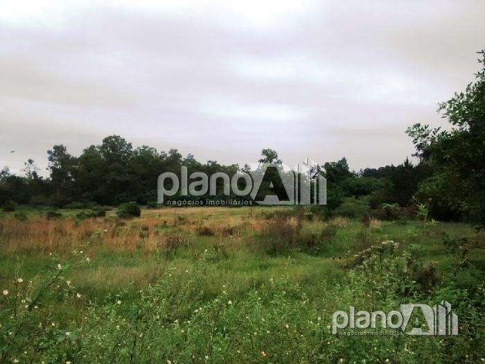 Venda de Terreno / Padrão na cidade de Gravataí
