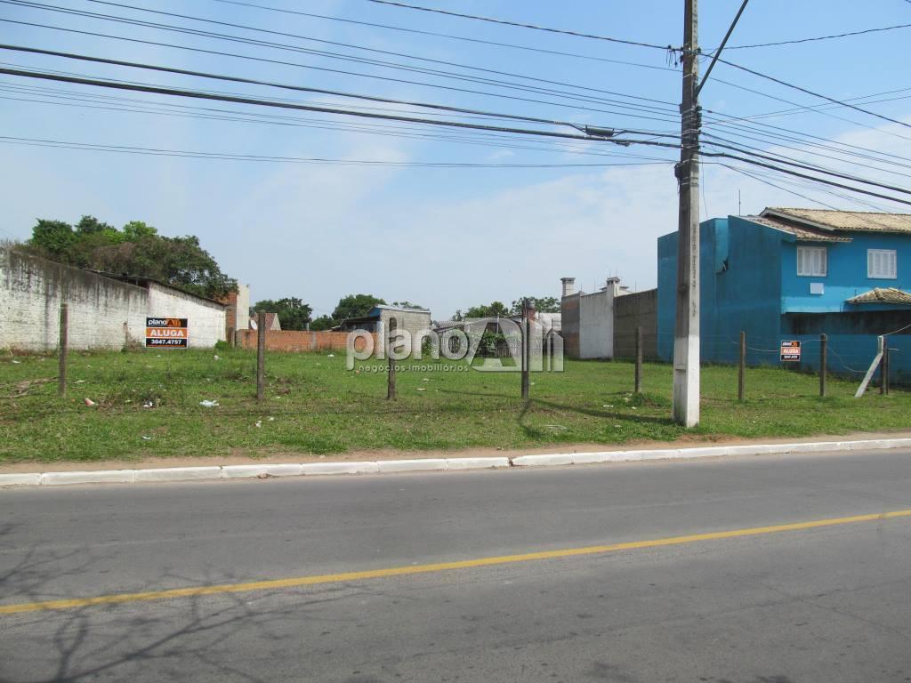 Locação de Terreno / Padrão na cidade de Gravataí