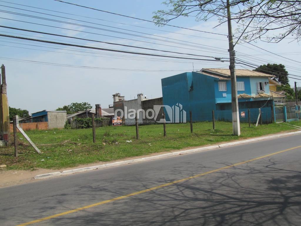 Locação de Terreno / Padrão na cidade de Gravataí